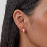 Brincos de Garra Ouro 18K & Cristal