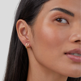 Brincos de Garra Ouro 18K & Cristal