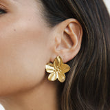 Brincos Flor Dourada